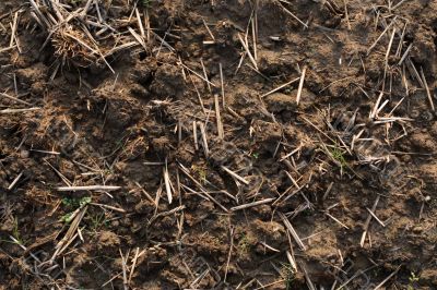 Earth texture Earth texture