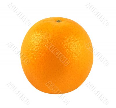 Orange fresh isolated