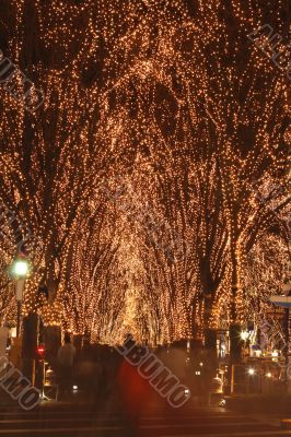 Sendai December illumination festival