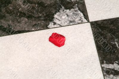 rose petal on marble rose petal on marble