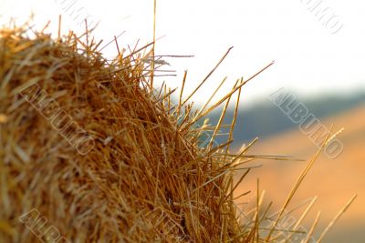 straw bale