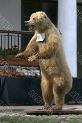 Bear effigy