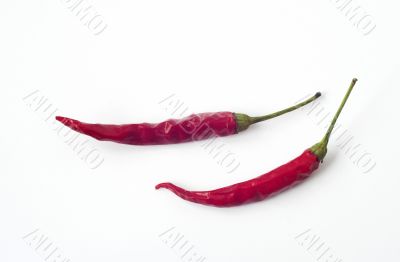 two peppers
