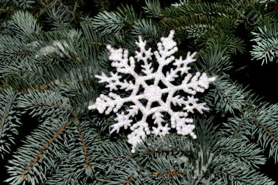 snowflake on fir tree