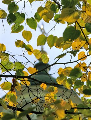 through autumn sheet cross temple is seen
