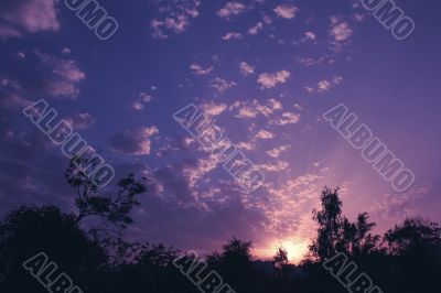 beautiful violet and lilac sundown with ray Sun