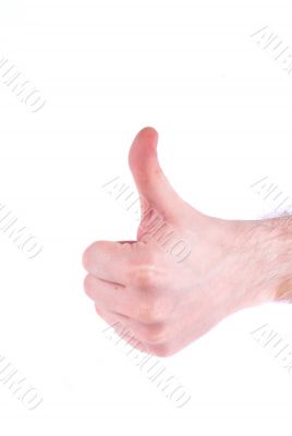 hand on white background