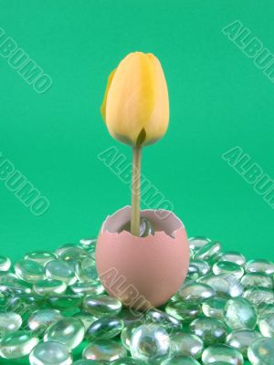 Easter decoration Easter decoration