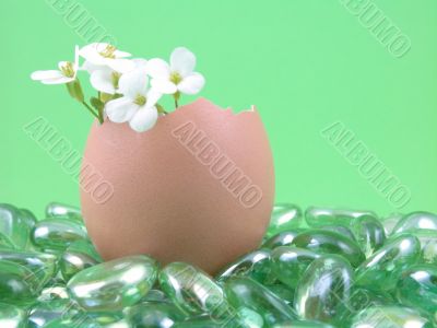 Easter decoration Easter decoration