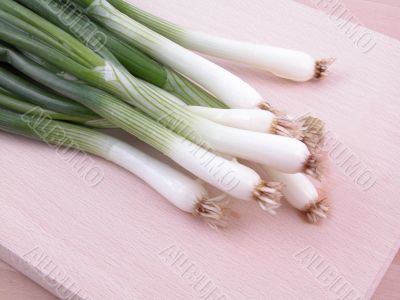 close-ups of young onions
