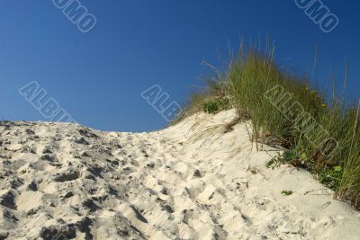 Cresting the Dune