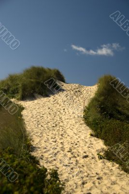 Footpath over the dune