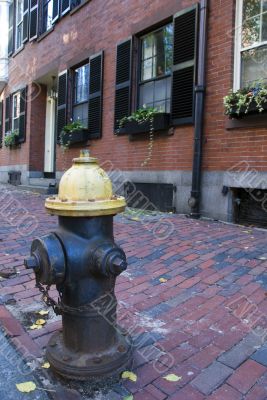 Fire Hydrant