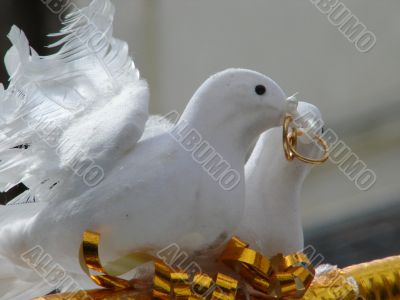 Wedding decorations with pigeons and gold rings