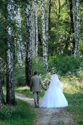 Just Married in spring white birch alley