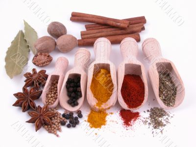 spices spices