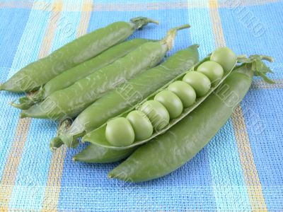 sweet pea sweet pea