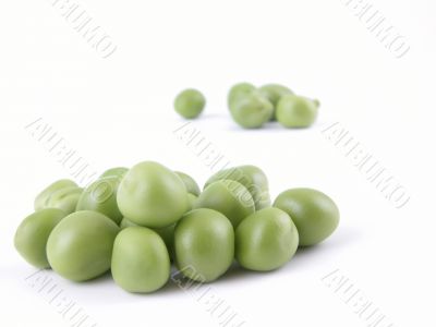 sweet pea sweet pea