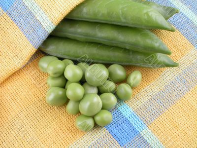 sweet pea sweet pea