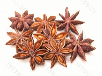 anise stars