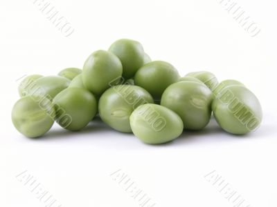 sweet pea sweet pea