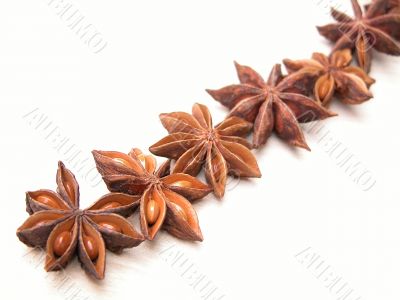 anise stars