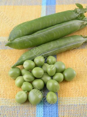 sweet pea sweet pea