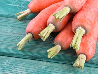 carrots carrots