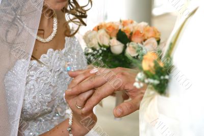 wedding wedding