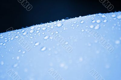 Drops of water / background