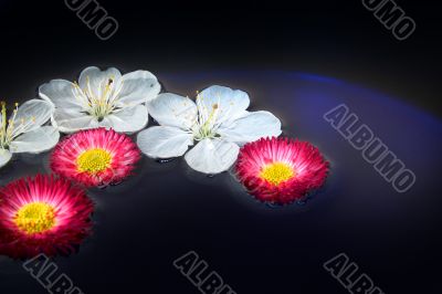 Unique background / flowers