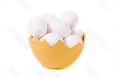 white eggs