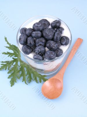 light breakfast light breakfast