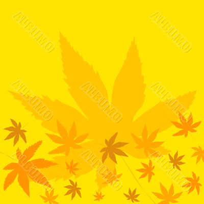 Autumn leaves Autumn leaves