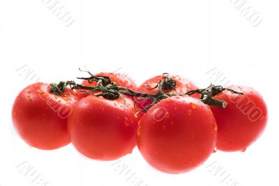 tomatos