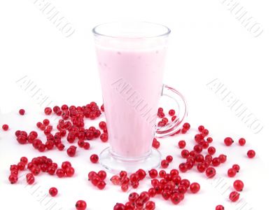 red currant smoothie