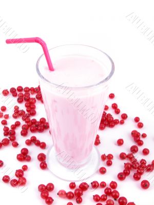 red currant smoothie