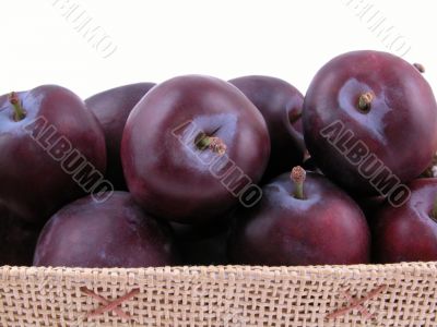 basket full of fresh plums