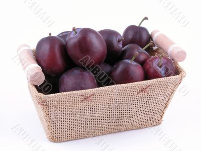 basket full of fresh plums