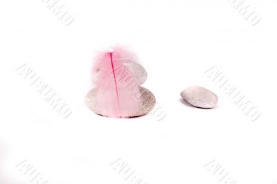 rock and pink feather