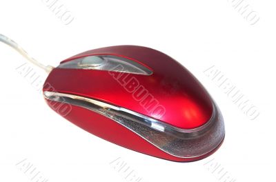mouse