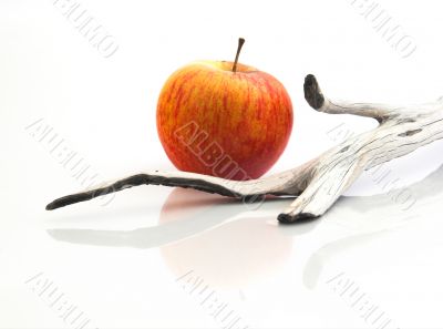 Red apple with a  wooden piece