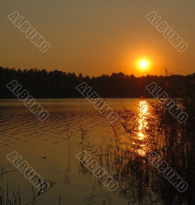 sunset