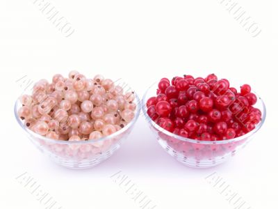 currants currants
