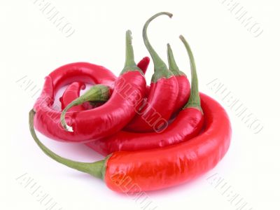 hot and spicy hot and spicy