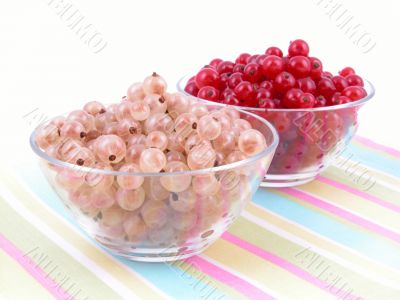 currants