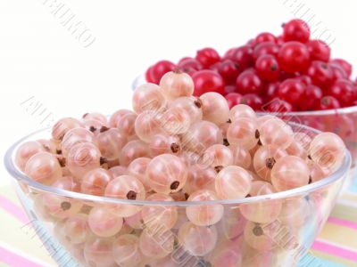 currants