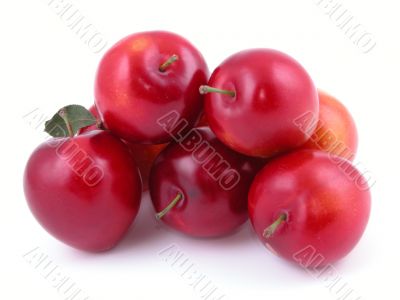 sweet red plums isolated on white