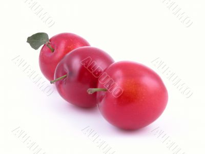 sweet red plums isolated on white