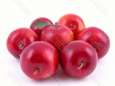 sweet red plums isolated on white